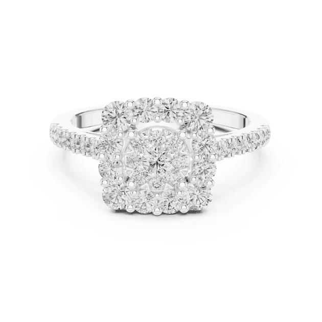 Driona Jewels Double Halo Cluster Diamond Engagement Ring | Pave Shank