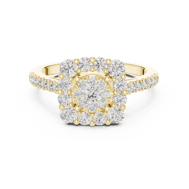 Driona Jewels Double Halo Cluster Diamond Engagement Ring | Pave Shank