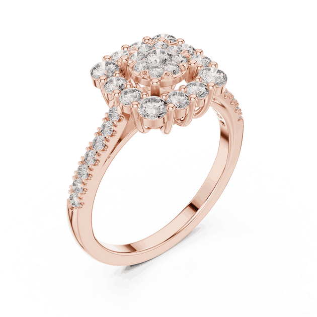 Driona Jewels Double Halo Cluster Diamond Engagement Ring | Pave Shank