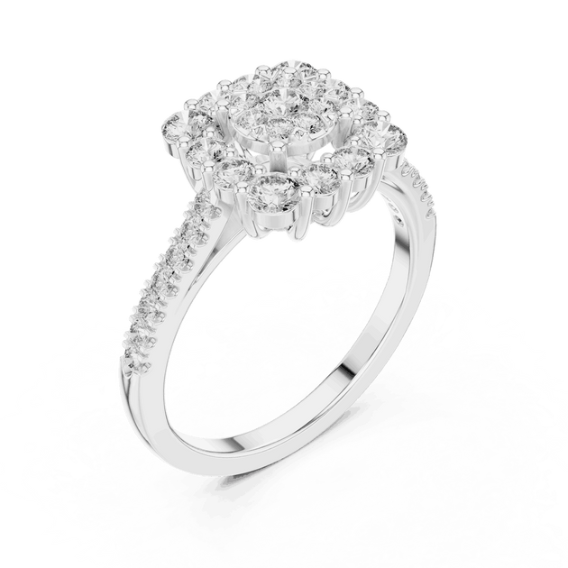 Driona Jewels Double Halo Cluster Diamond Engagement Ring | Pave Shank