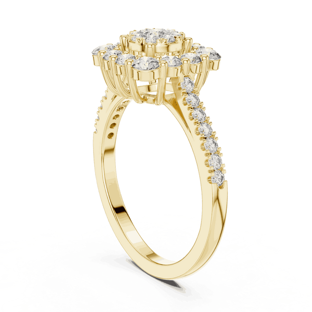 Driona Jewels Double Halo Cluster Diamond Engagement Ring | Pave Shank