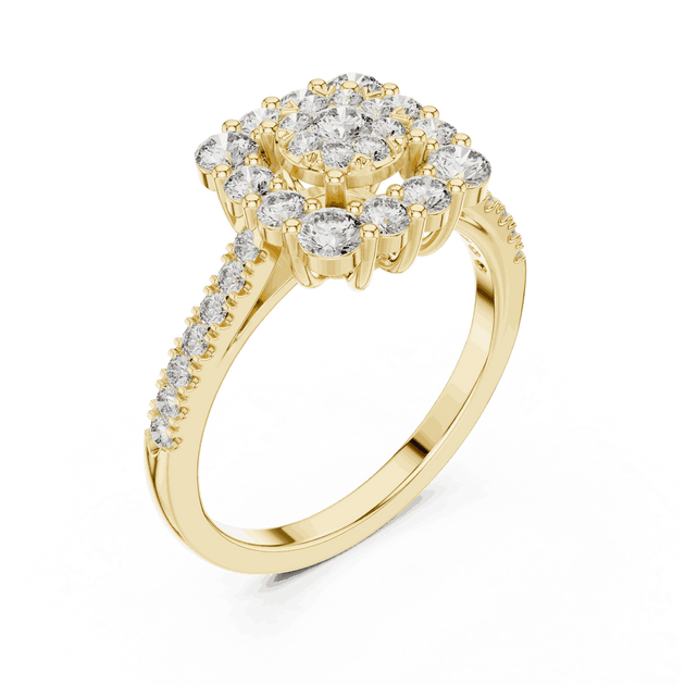 Driona Jewels Double Halo Cluster Diamond Engagement Ring | Pave Shank