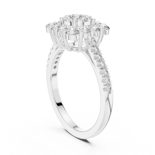 Driona Jewels Double Halo Cluster Diamond Engagement Ring | Pave Shank